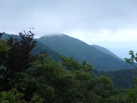 P7280040