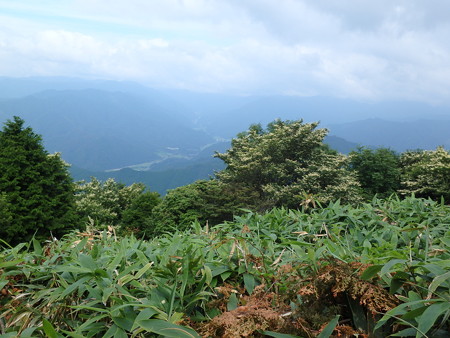 P7280044