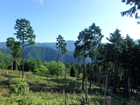 P8040014