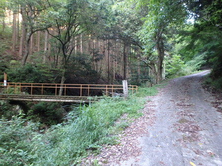 P8040003