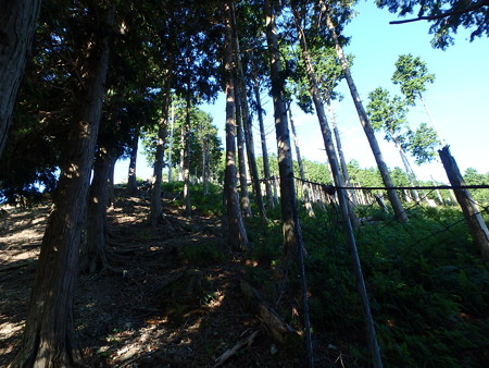 P8040013