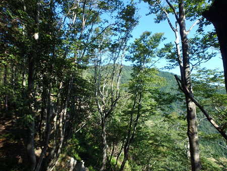 P8040024