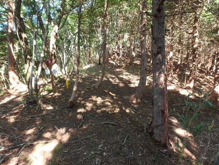 P8040026