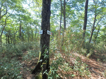 P8040028