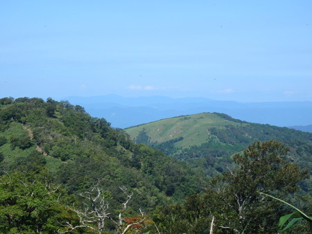 P8040037