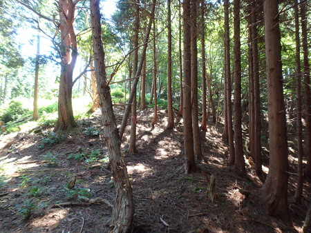 P8040052