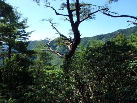 P8040054
