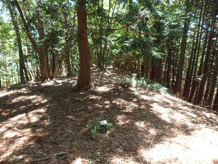P8040064