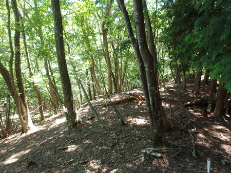P8040068