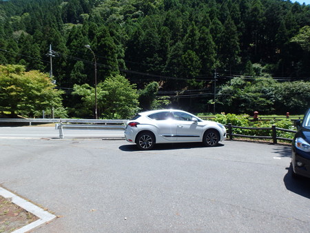 P8040076