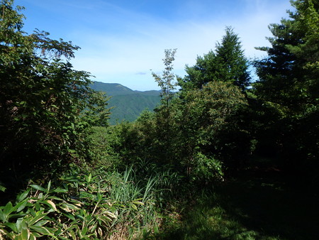P8180048