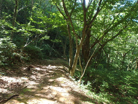 P8180051