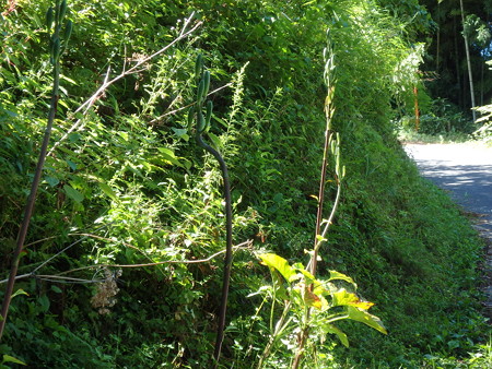 P8180058