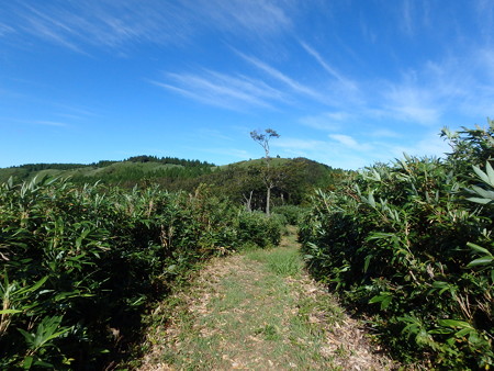 P8260042