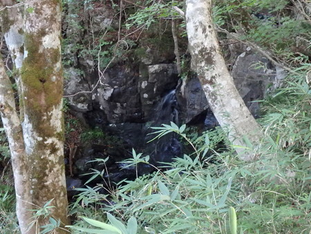 P8260010