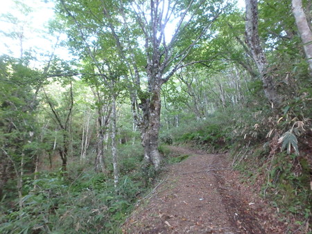 P8260011