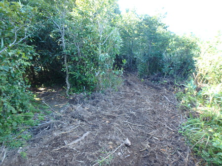 P8260020