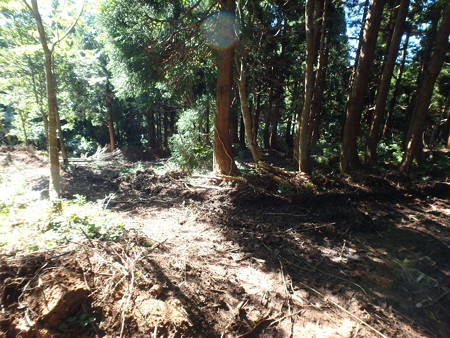 P8260036