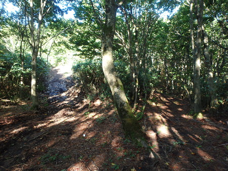 P8260037