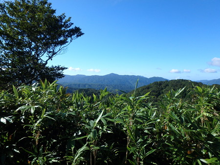 P8260044