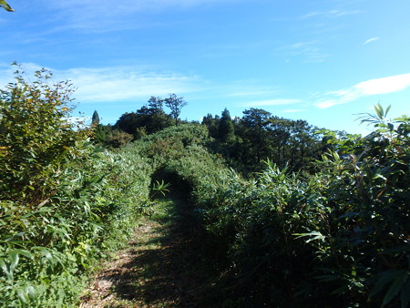 P8260045
