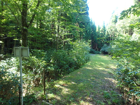 P8260051