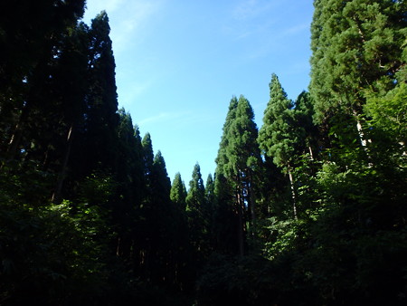 P8260054