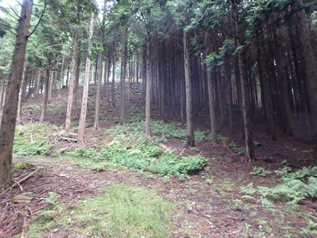 P9020007