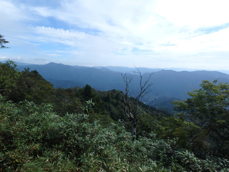 P9020033