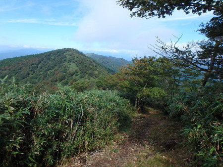 P9020037