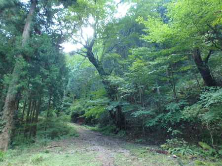 P9230018