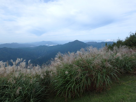 P9230028