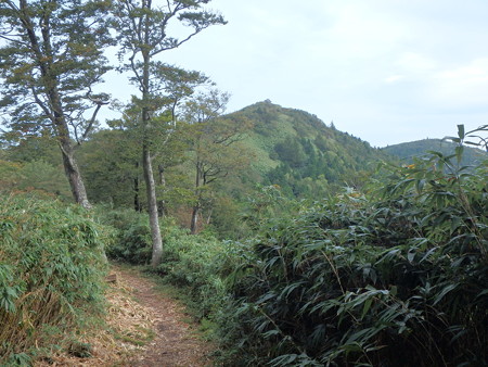 P9230037