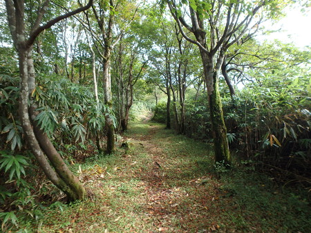 P9230038