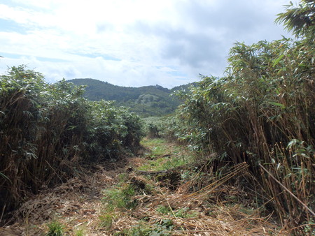 P9230044