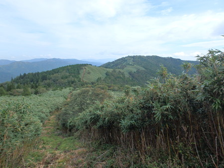 P9230047