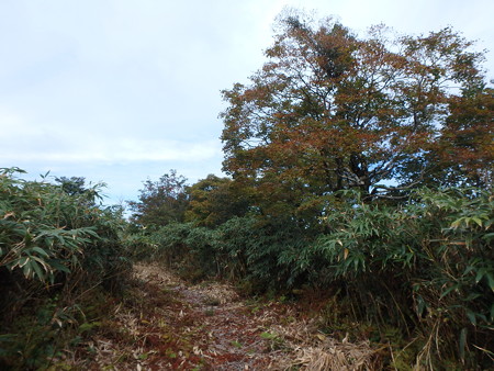 P9230056
