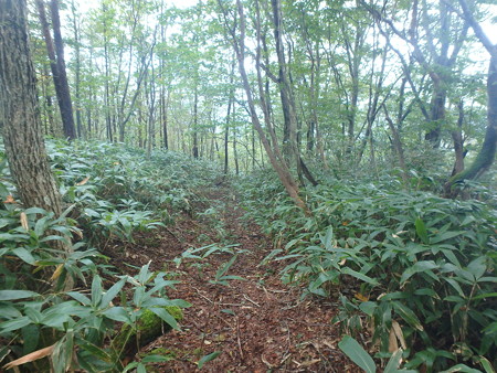 P9230074