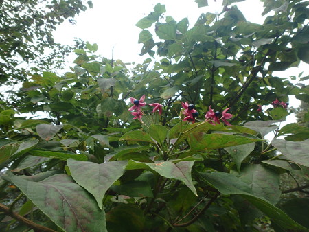 P9230078