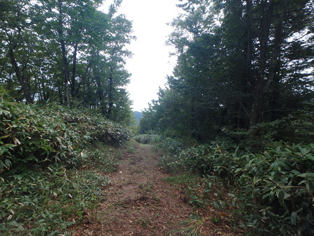P9230080