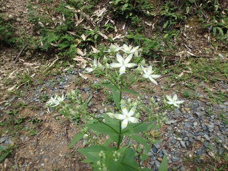 P9230082