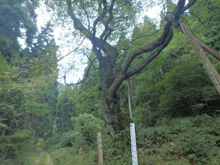 P9230096