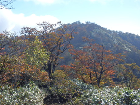 PA080022