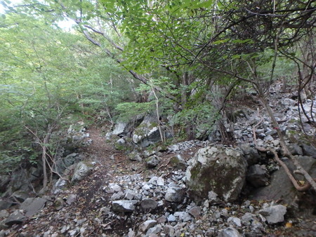 PA080003