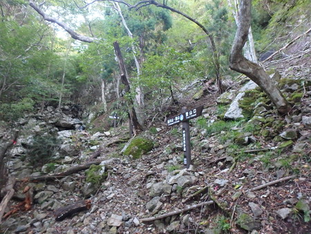 PA080007