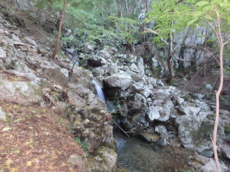 PA080011