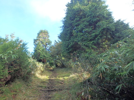 PA080014