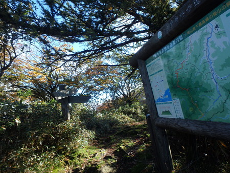 PA080016