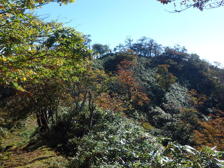 PA080025