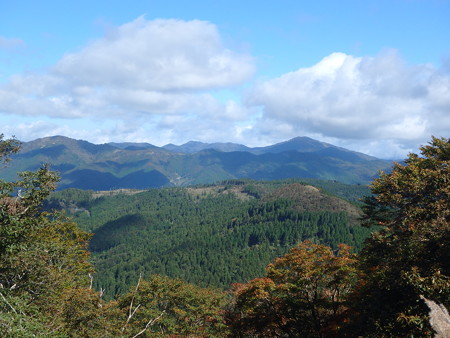 PA080054